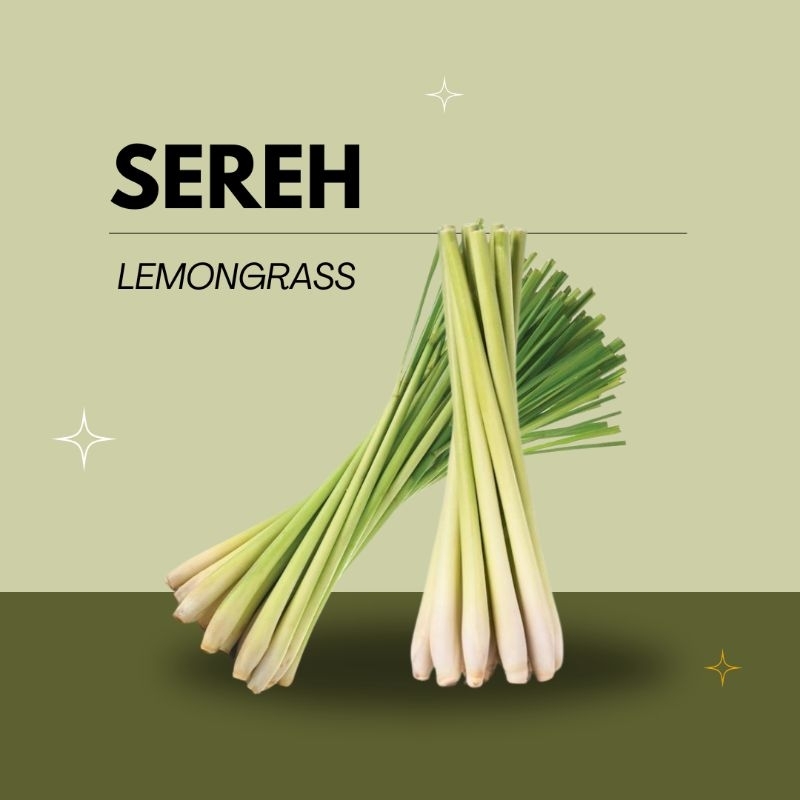

Daun Sereh Fresh 1 Ikat | Daun Serai Segar 1 ikat