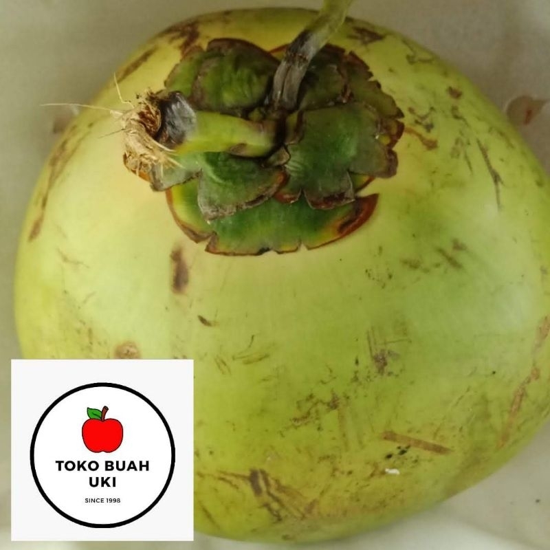 

Buah Kelapa Muda