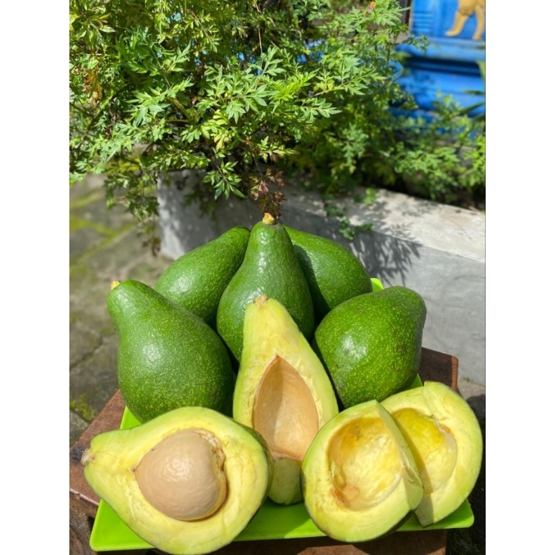 

Alpukat Mentega 100%