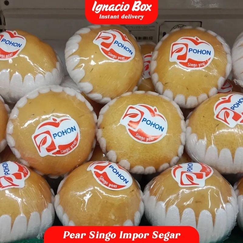 

Buah Pir | Pear Singo 1kg isi ±3 buah Fresh IgnacioBox Fruit