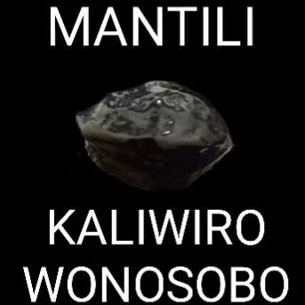 muncang mantili kaliwiro paket 2 biji