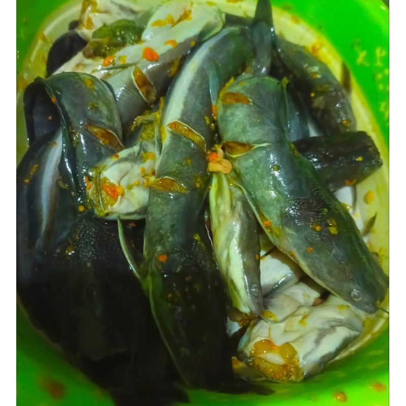 

Lele dan patin bumbu siap goreng 1 kg