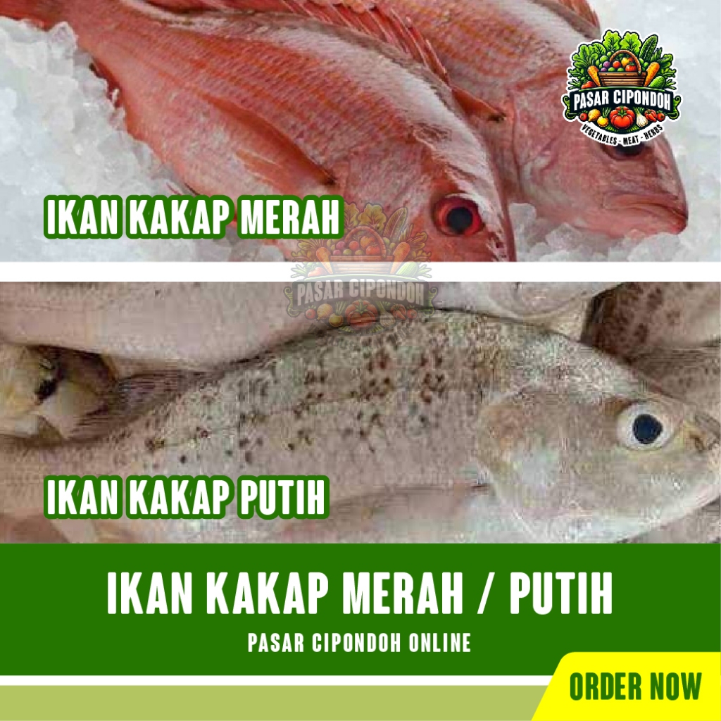 

Ikan Kakap Merah / Kakap Putih Mentah Segar 1 kg - Pasar Cipondoh Tangerang