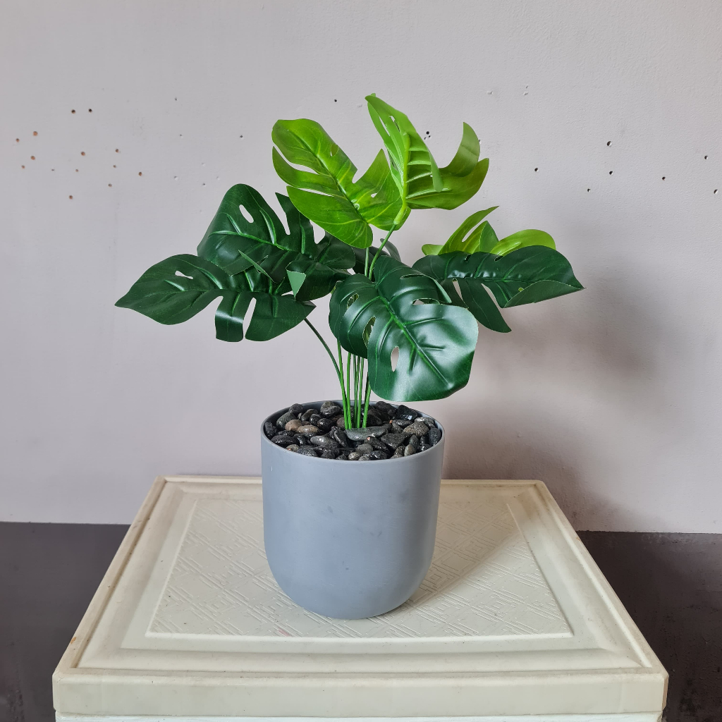 Tanaman Hias Monstera Plastik Artificial Janda Bolong pot melamin
