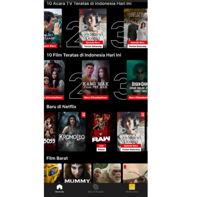 Netflix Private Profil Full 100% garansi, sudah Ratusan Testi