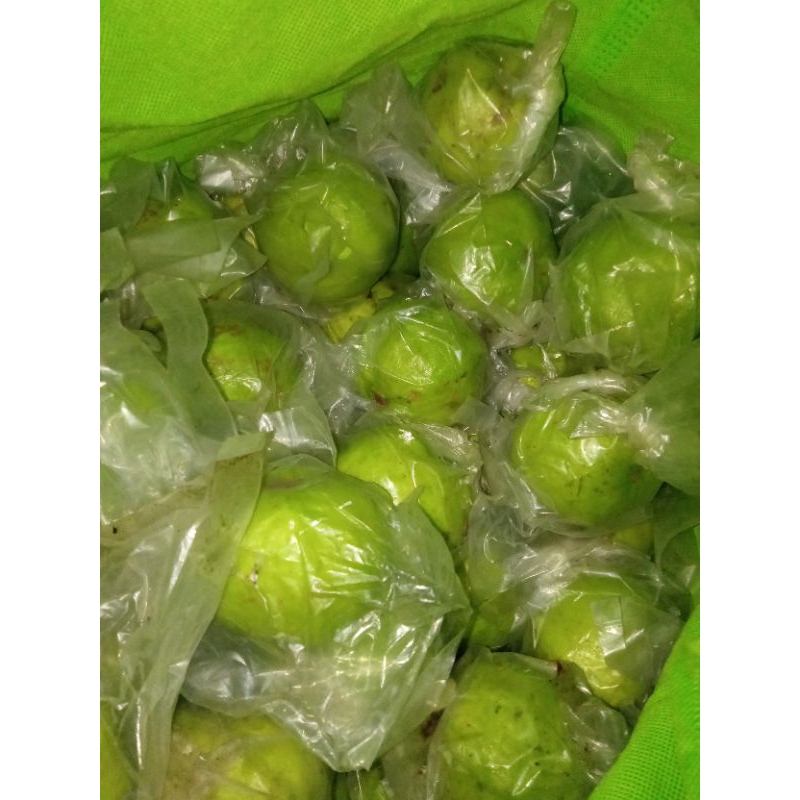 

Jambu Kristal Non Biji paket (3,5KG)