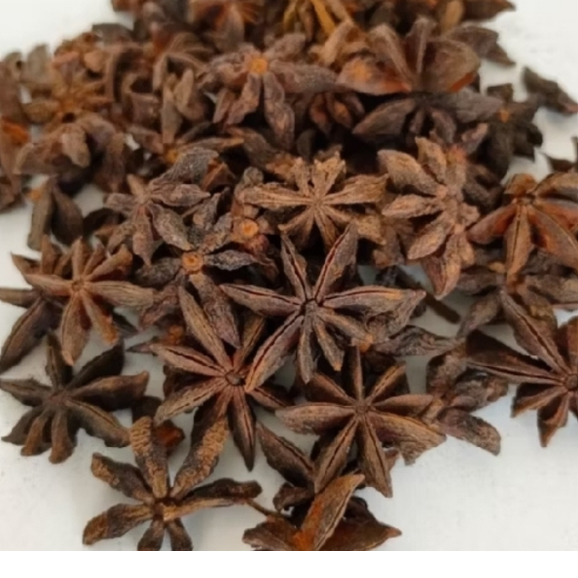 

REMPAH BUNGA LAWANG 100 GRAM