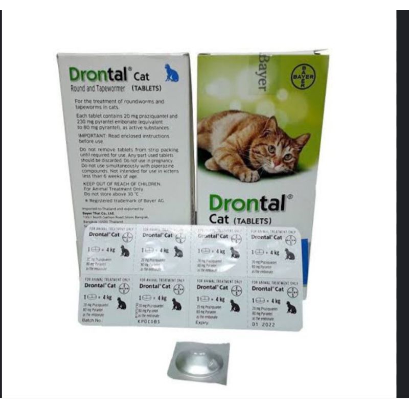 Drontal cat