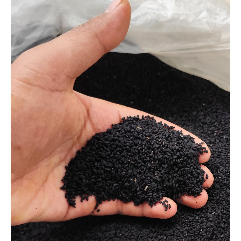 

{ 500 GRAM } BIJI JINTAN HITAM HABBATUSSAUDA PREMIUM TERMURAH