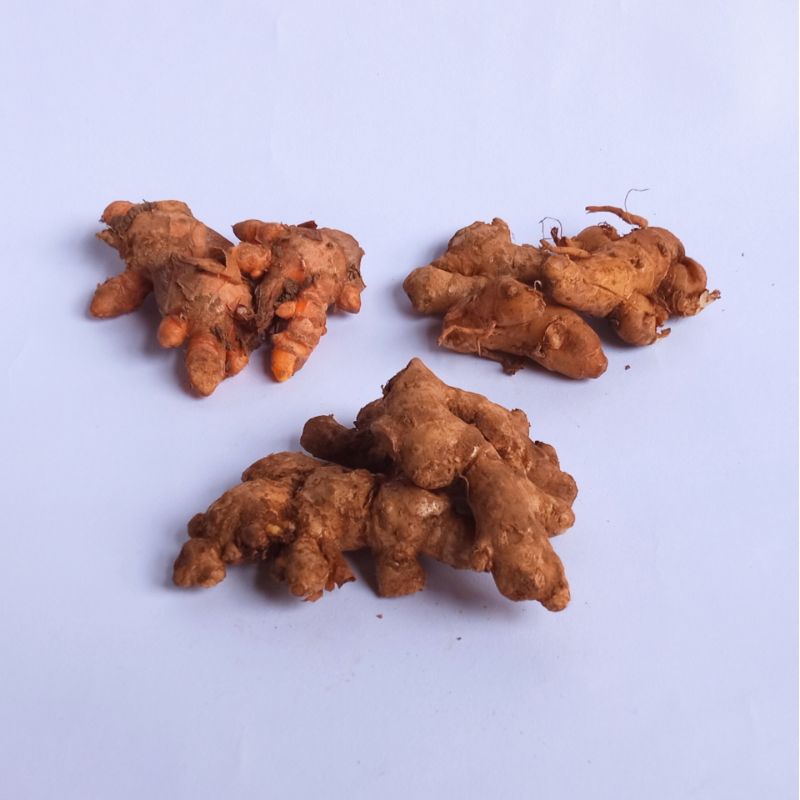 

Jahe Kunyit Kencur Asli mix 1 paket 100 gr