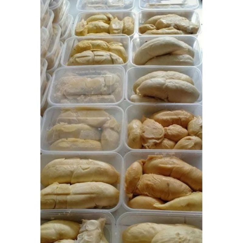 

Durian bengkulu