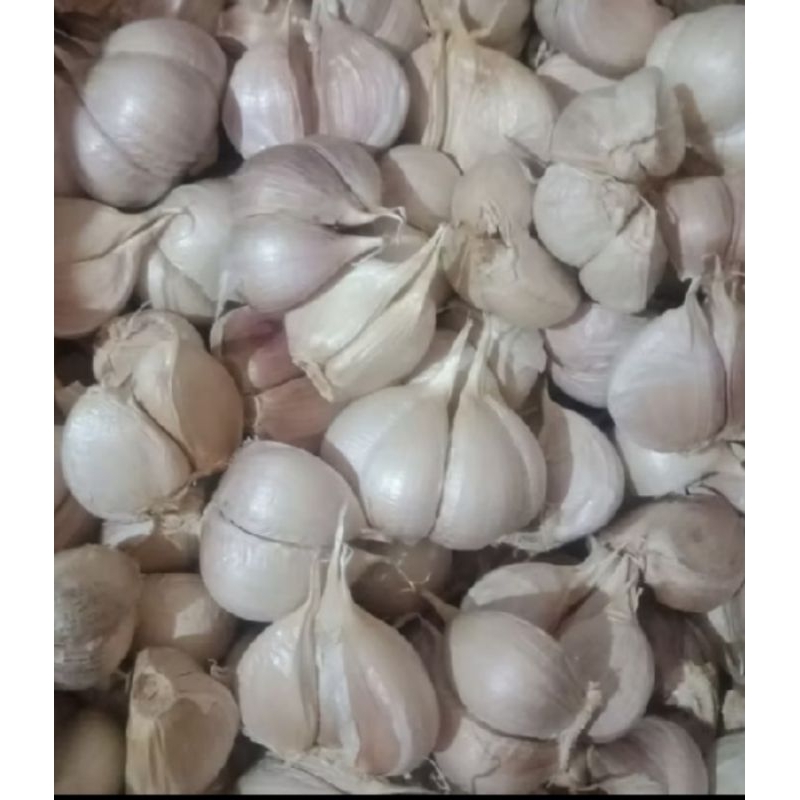 

Bawang putih 1kg