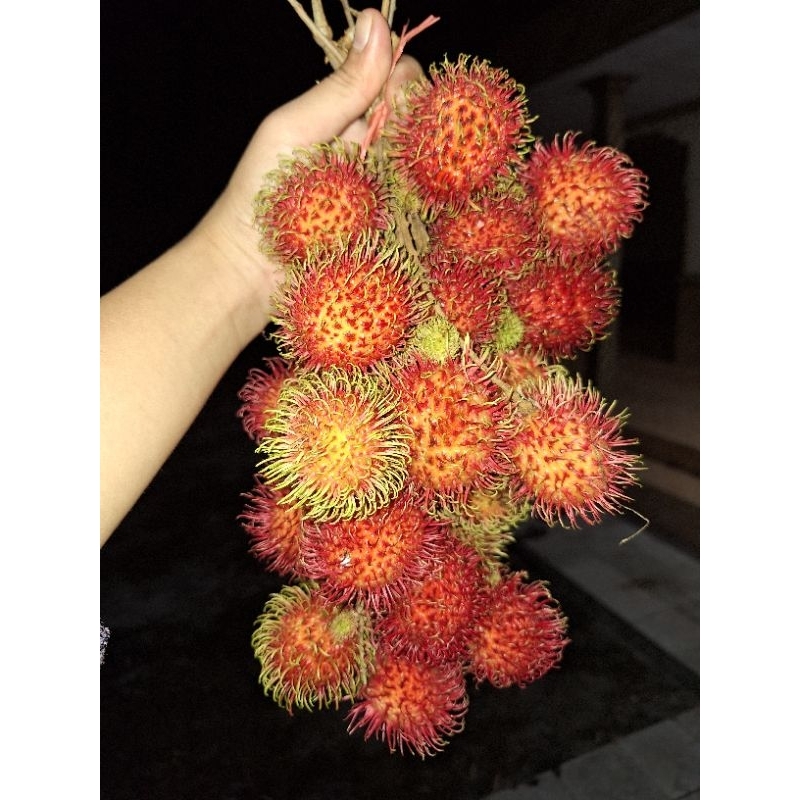 

Buah Rambutan 1 Kg