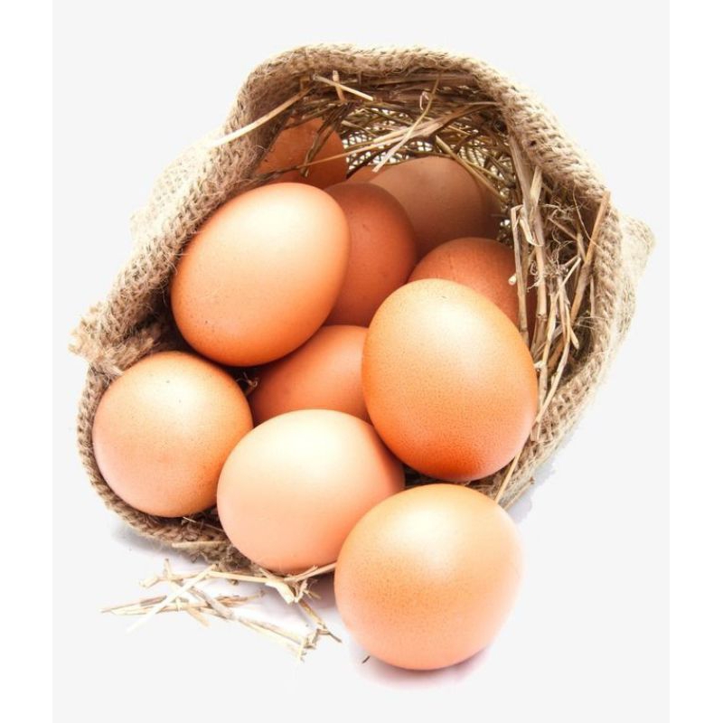 

Telur Segar per pack