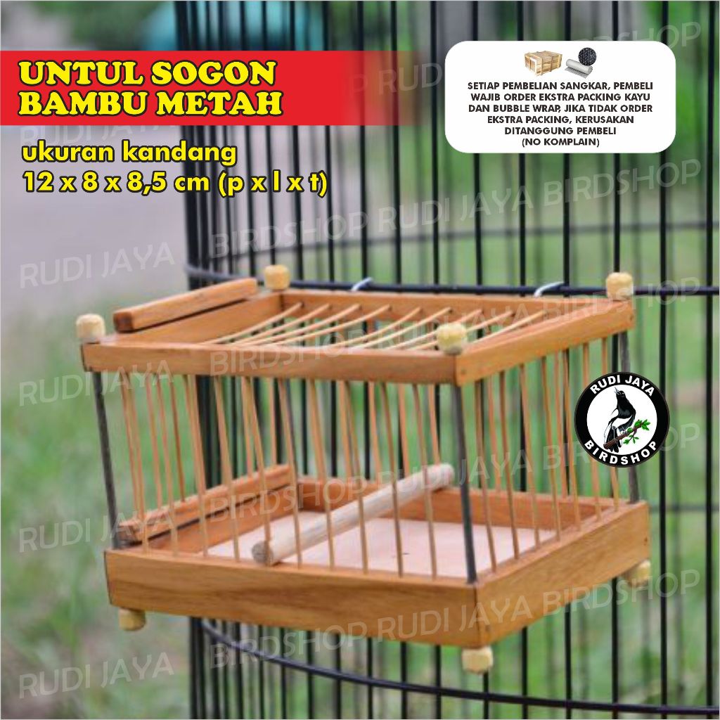 SANGKAR UNTUL UNTULAN KAYU / BAMBU BURUNG KONIN SOGON PLECI BETINA MENTAH / MATANG WARNA COKLAT