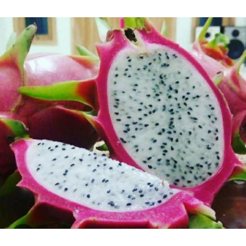 Buah Naga Organik (Buah Naga Putih)
