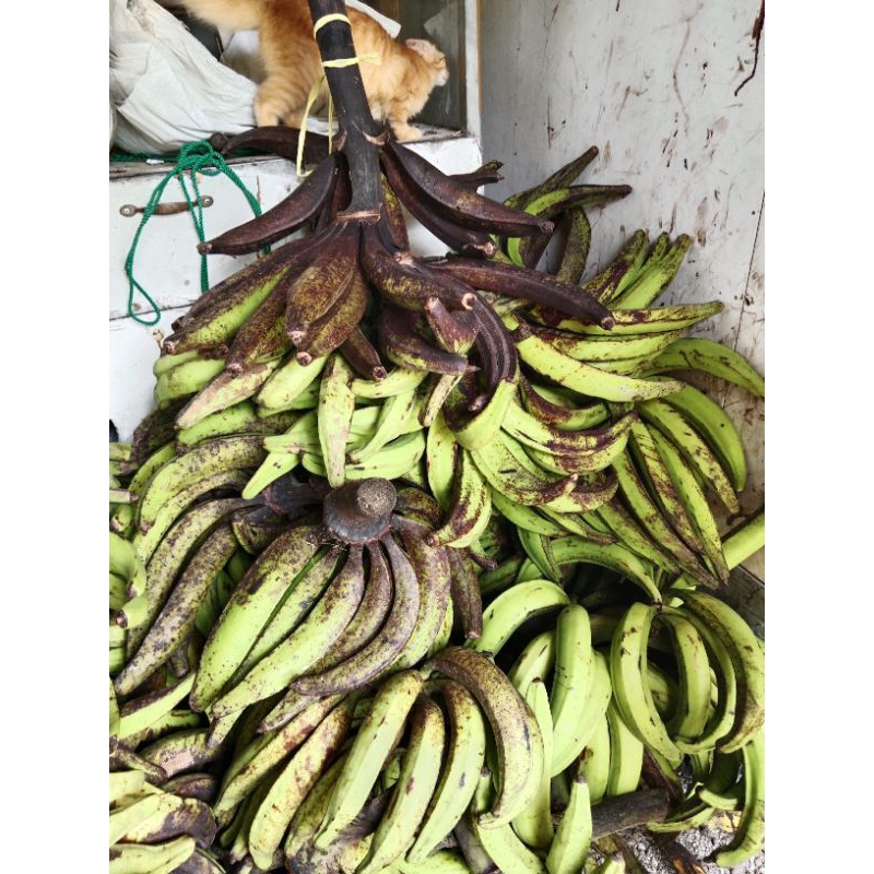 

PISANG TANDUK MADU ukuran sedang per 1kg (di kirim mengkal)