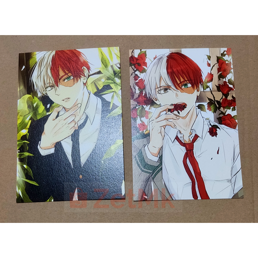 Fanmerch Boku no Hero Academia Todoroki Shoto Postcard