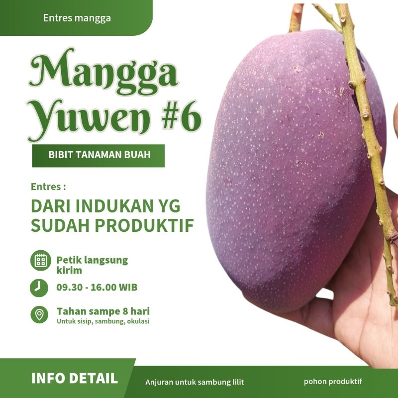ENTRES MANGGA YUWEN 6