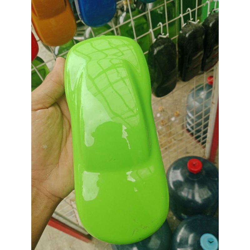 cat hijau kawasaki ninja