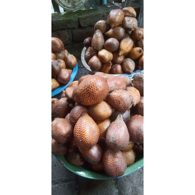 

salak kersikan manis