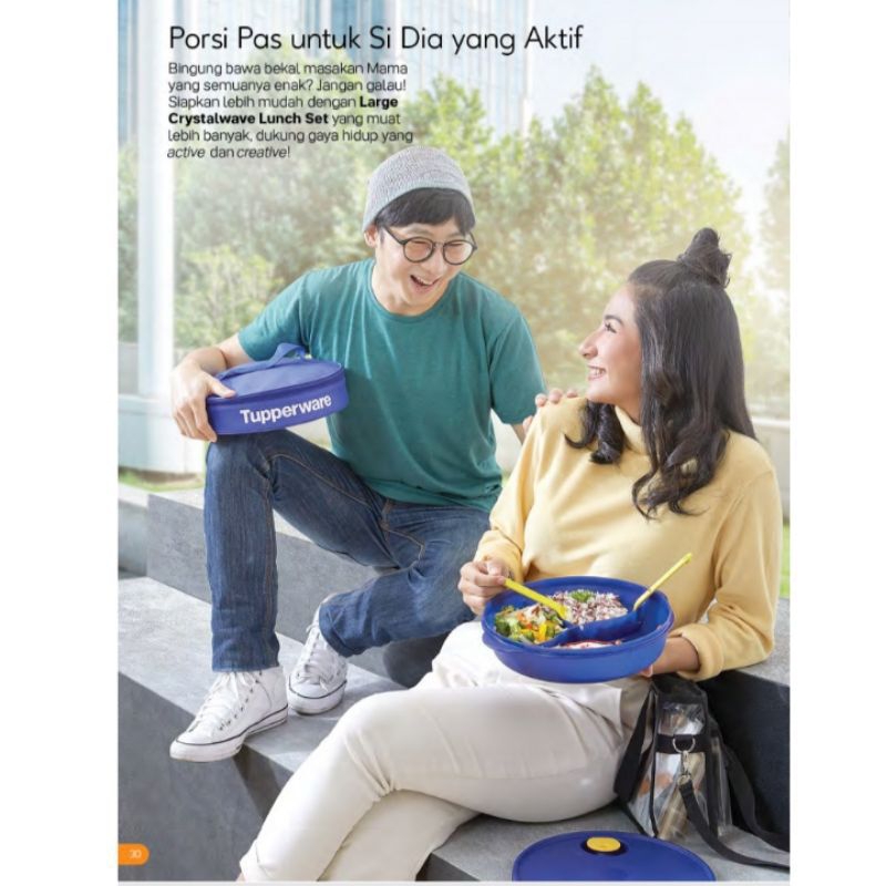 Large Crystalwave Lunch Set Kotak Makan Set