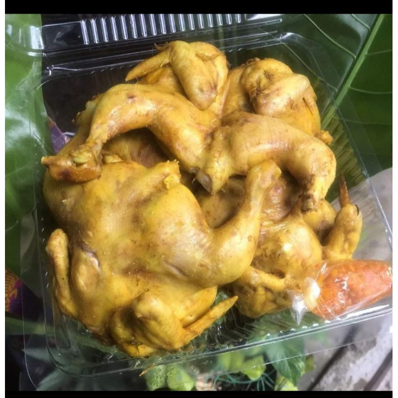 

ayam ungkep 5ekor froozen free sambal