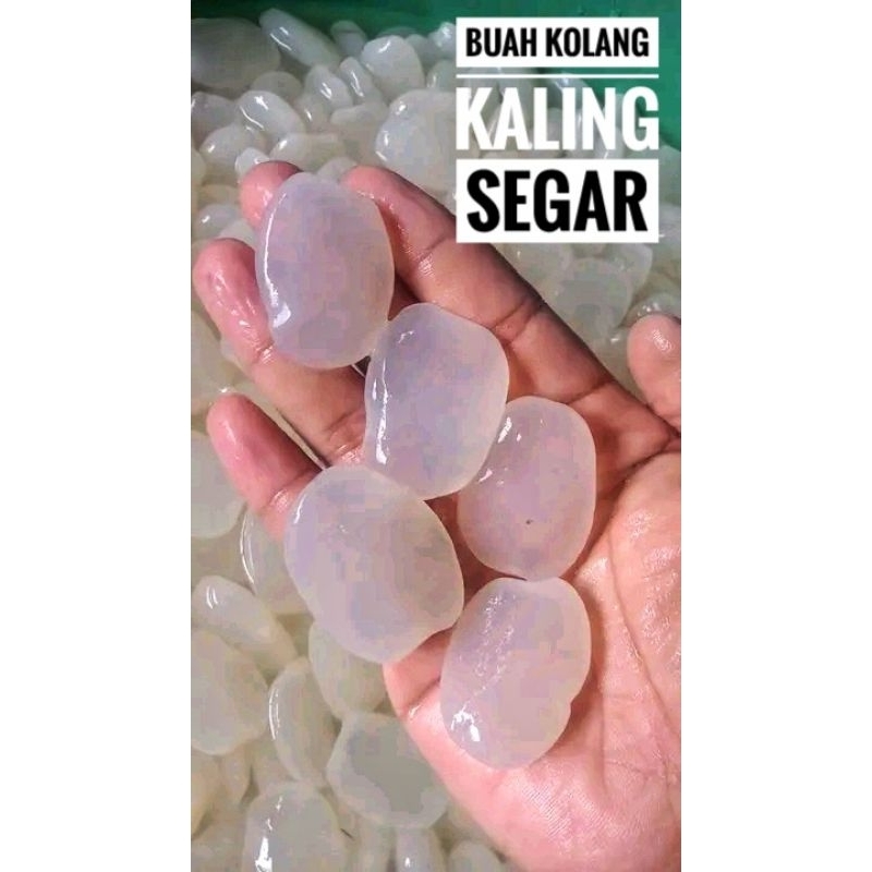 

Buah Kolang Kaling Segar 1KG