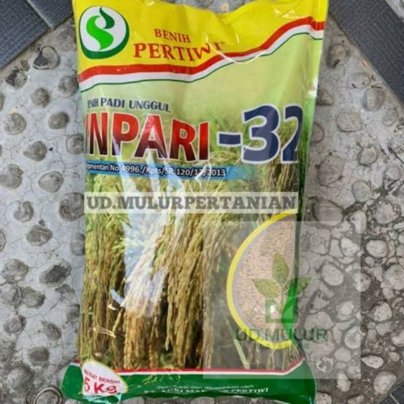 Benih Padi Unggul INPARI 32 HDB 5kg Benih Pertiwi