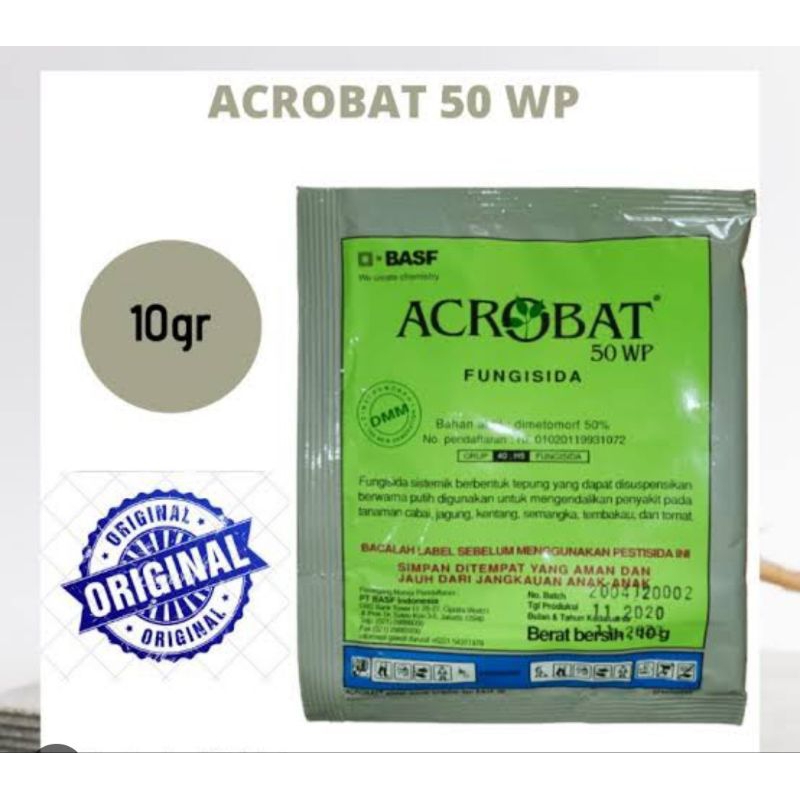 Acrobat 50Wp ( 40gr )
