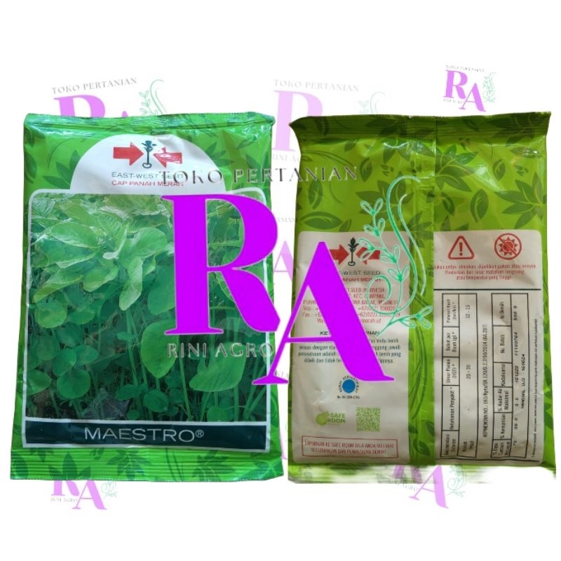 BAYAM MAESTRO PANAH MERAH BAYAM CABUT BAYAM BIBIT BAYAM