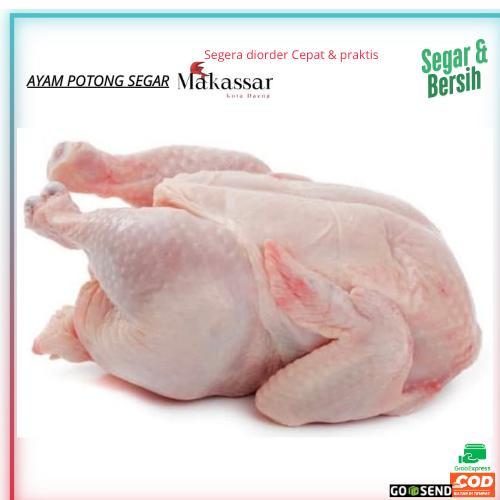 

ayam,ayam potong segar,(1 Ekor).tanpa pengawet,Tanpa di suntik,bisa requist potong atau utuh,Ayam murah,Ayam makassar pasar pannampu,ayam berkualitas,ayam segar,ayam buat kari,ayam untuk di goreng,ayam untuk lalapan - Besar