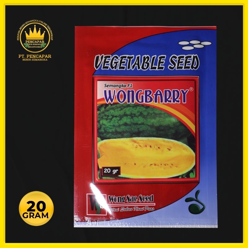 BENIH SEMANGKA - WONGBARRY -  INUL KUNING SUPER BESAR -  20 GRAM 500 BUTIR