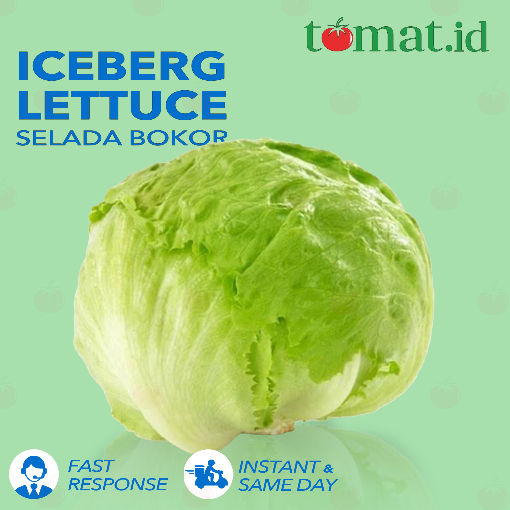 

Selada Lettuce