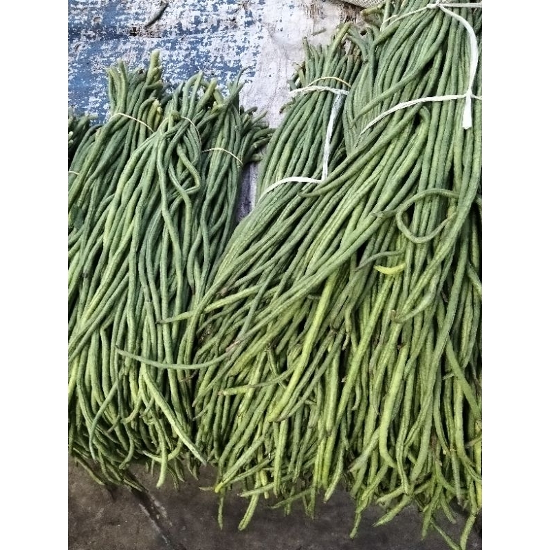 

kacang panjang
