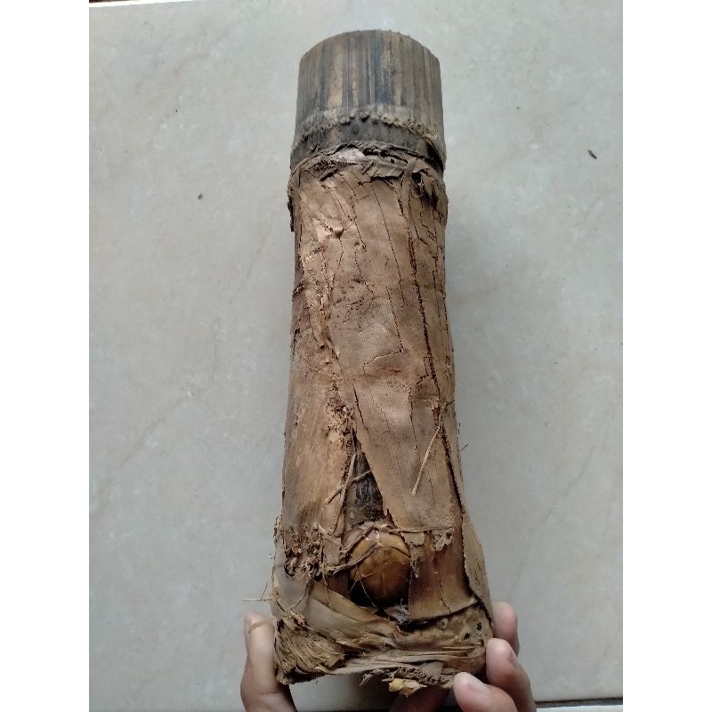 BAMBU UNIK PETUK SLUMPRING PENUH