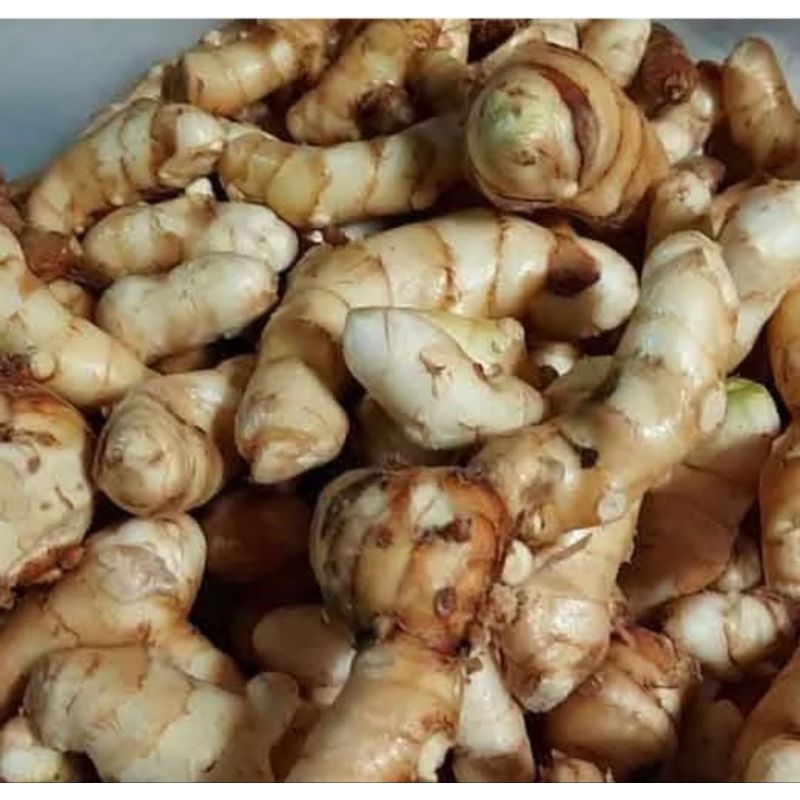 

kunyit putih 1000 gram fress