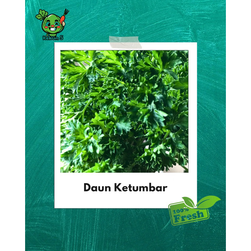 

Daun Ketumbar Fresh 200 Gram