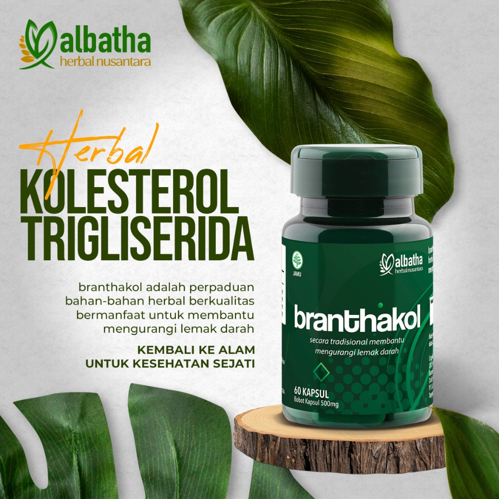 Branthakol - Obat Kolesterol Herbal - Turunkan Kolesterol dan Trigliserida serta Kesehatan Jantung