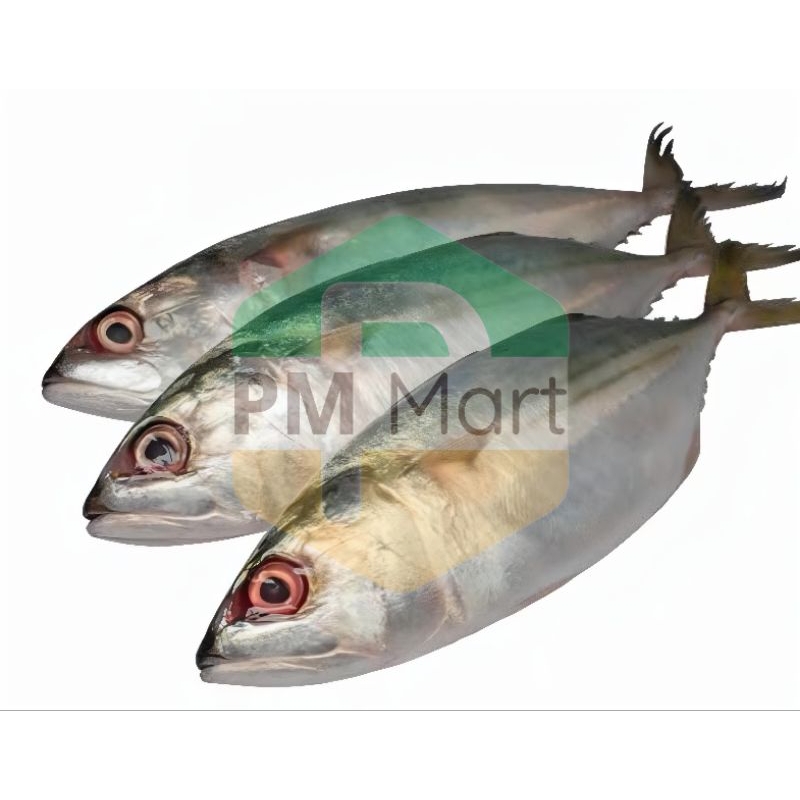 

Ikan Kembung Segar 500 Gram