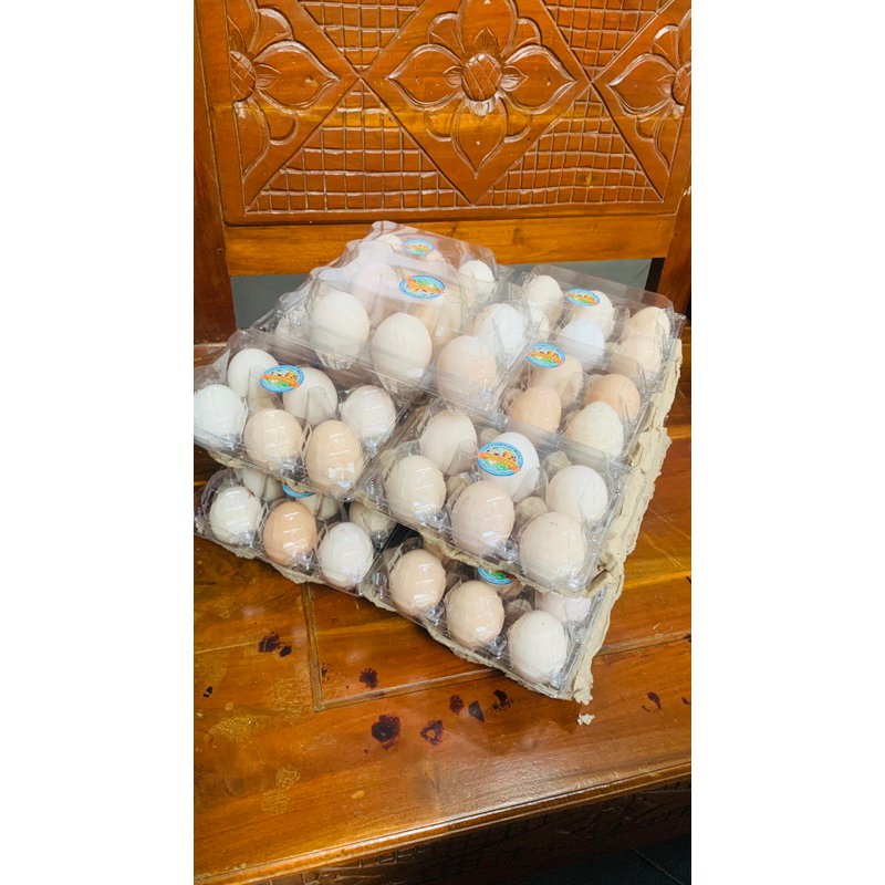 

Telur ayam kampung umbaran pakan alami