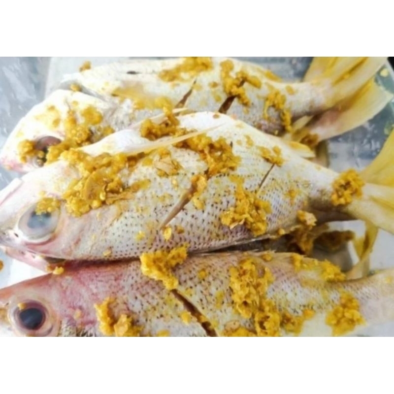 

ikan ekor kuning ungkep ±300 gram ikan ekor kuning bumbu kuning siap goreng