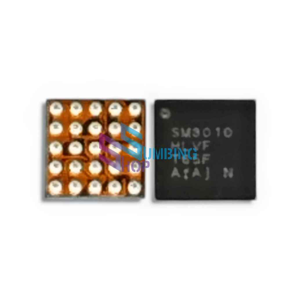 IC Display Samsung S10 SM3010