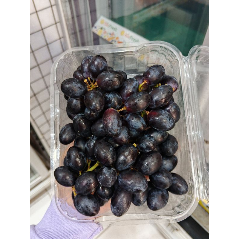 

Anggur Hitam Autumn Afrika l Sedikit Asam
