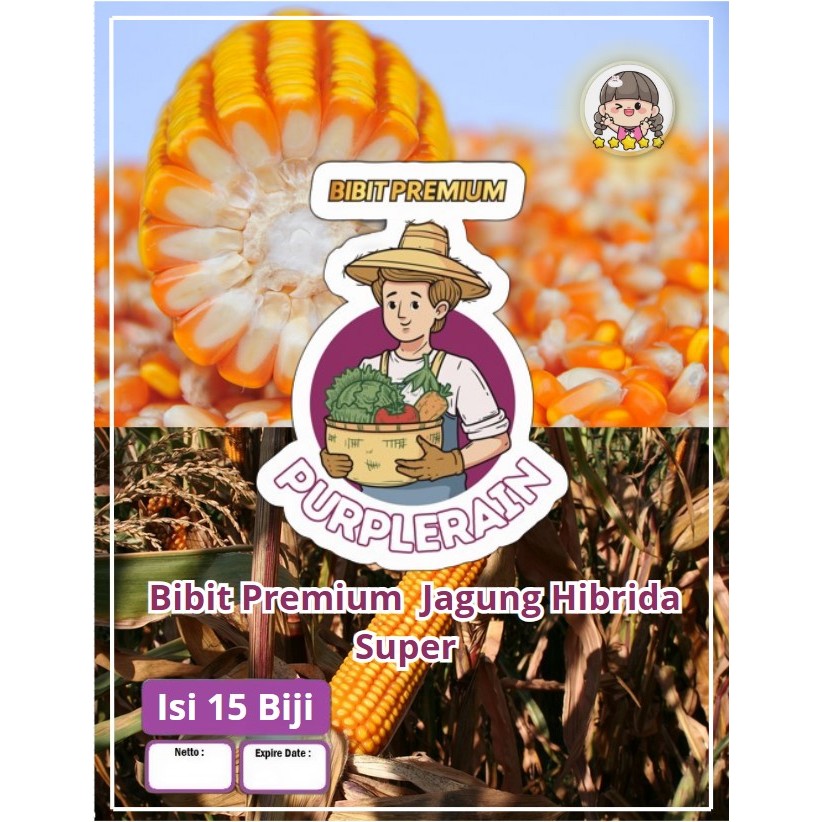 Bibit Premium Jagung Hibrida Super | Benih Jagung Hibrida | Biji Jagung