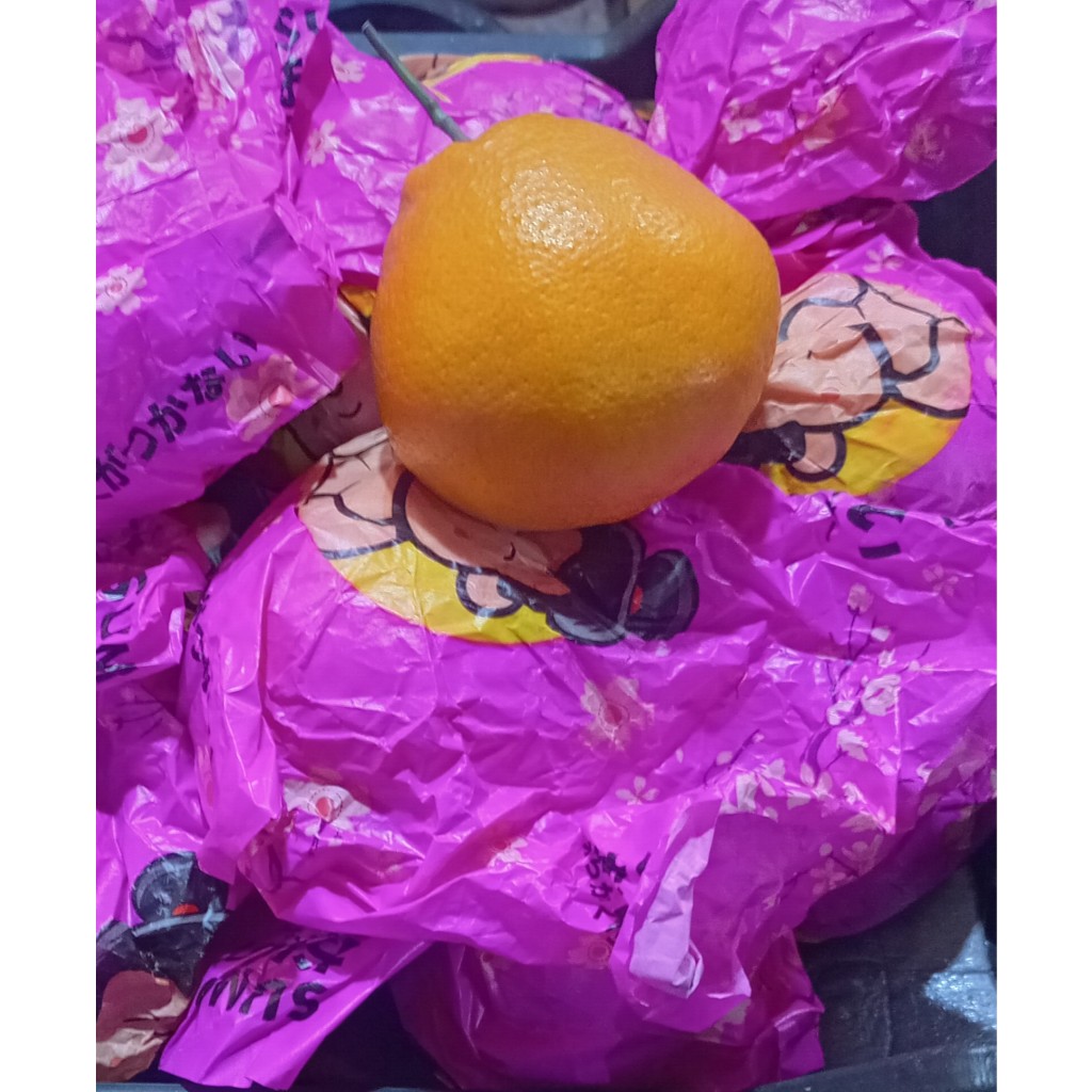 

Jeruk Dekopon Buah Segar Bandung