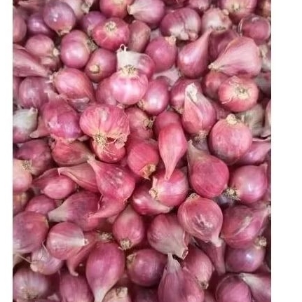 

BAWANG MERAH BREBES SUPER 1KG