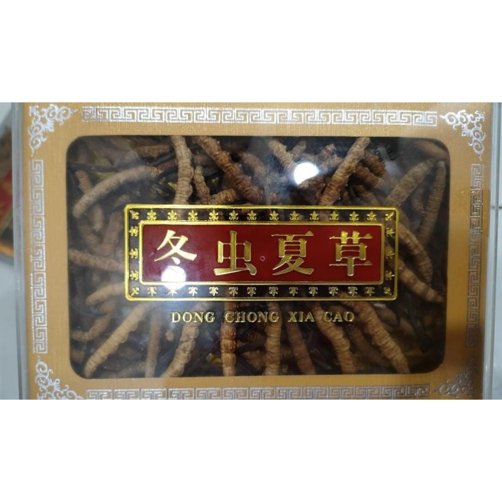 

Cordyceps Sinesis Original Dong Chong Xia Cao 37,5 gram Grade A