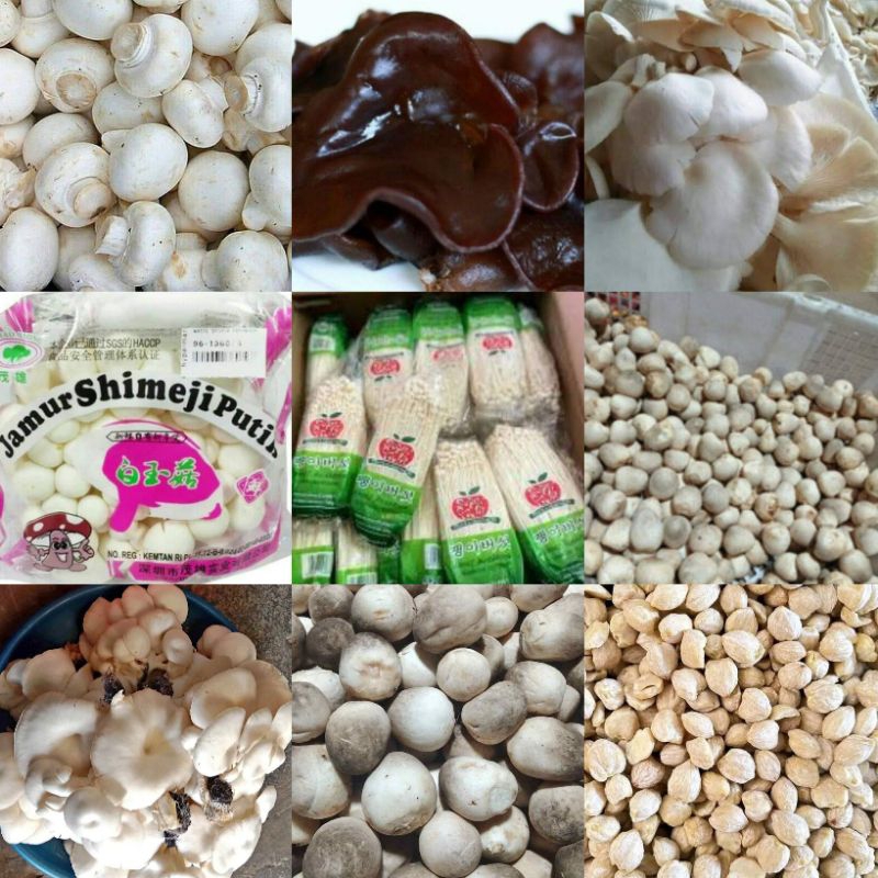 

JAMUR MERANG / JAMUR TIRAM / JAMUR KUPING / JAMUR SHITAKE / JAMUR ENOKI / SHIMEJI COKLAT / SHIMEJI PUTIH / CHAMPIGNON