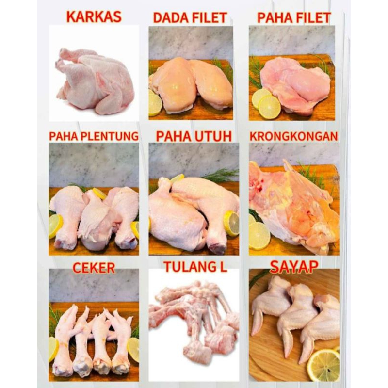 

AYAM POTONG SEGAR / AYAM KARKAS / AYAM BROILER 1-1.2KG 1.3-1.4KG